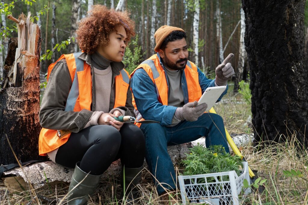 Estudo de Impacto Ambiental (EIA) para grandes empreendimentos com a Diatech Ambiental: Guia completo