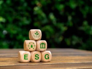 Saiba o que é uma consultoria de ESG para Médias e Grandes Empresas