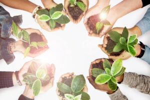 Terceirização de gestão ambiental para empresas | Diatech Ambiental