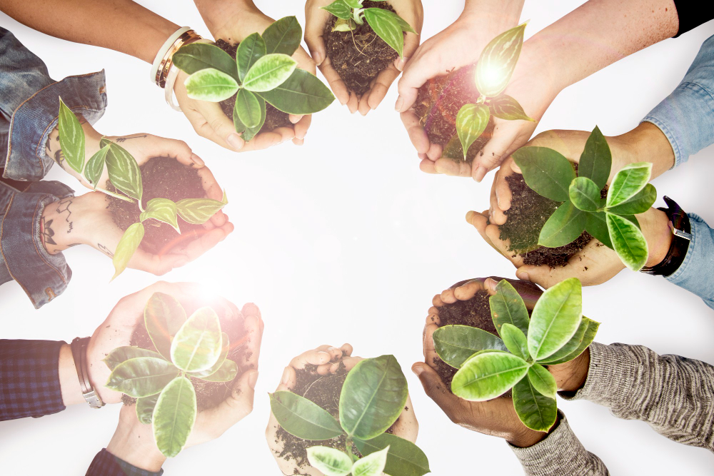 Terceirização de gestão ambiental para empresas | Diatech Ambiental