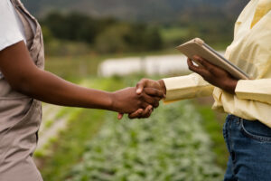 Descubra o impacto da gestão ambiental no agronegócio para o acesso a financiamentos bancários