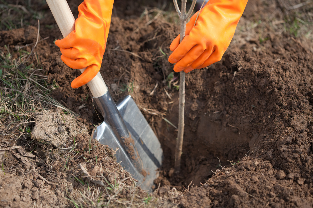 Descubra o impacto que o teste de fundo de cava tem nos terrenos de postos de combustível